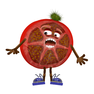 Digital download for Adobe Character Animator, fully rigged digital puppet is a slice of tomato with expressive eyes and blue shoes.