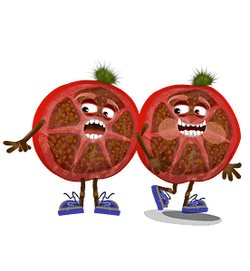 Digital downloads for Adobe Character Animator fully rigged digital puppet is an tomato slice with expressive eyes and blue shoes and a walking tomato.