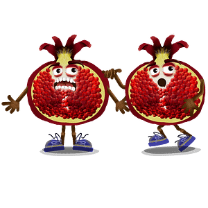 Digital downloads for Adobe Character Animator fully rigged digital puppet is an pomegranate slice with expressive eyes and blue shoes and a walking pomegranate.